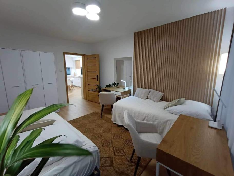Stary Toruń Apartament Podgorna 19 아파트 외부 사진
