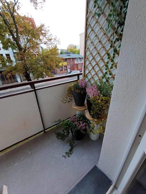 Stary Toruń Apartament Podgorna 19 아파트 외부 사진